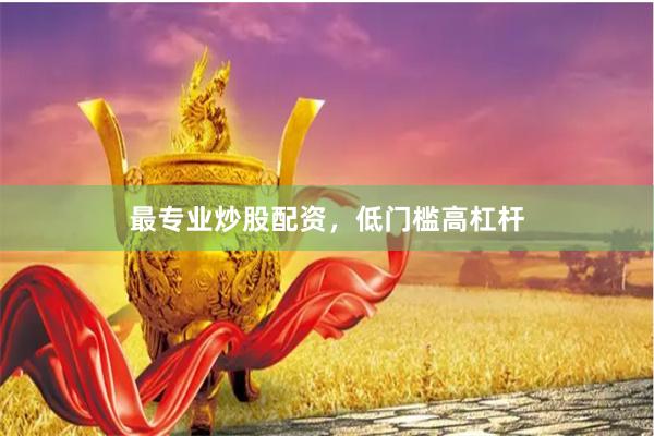 最专业炒股配资，低门槛高杠杆